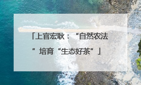 上官宏耿：“自然农法”培育“生态好茶”
