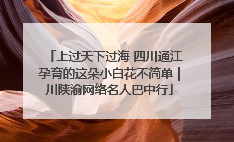 上过天下过海 四川通江孕育的这朵小白花不简单｜川陕渝网络名人巴中行