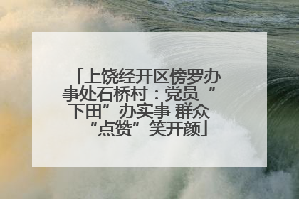 上饶经开区傍罗办事处石桥村：党员“下田”办实事 群众“点赞”笑开颜