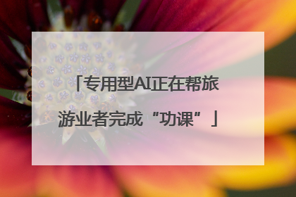 专用型AI正在帮旅游业者完成“功课”