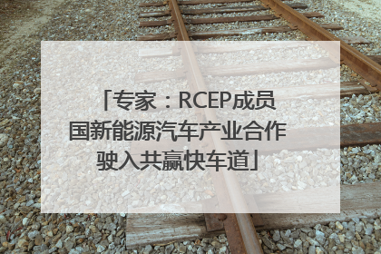 专家：RCEP成员国新能源汽车产业合作驶入共赢快车道