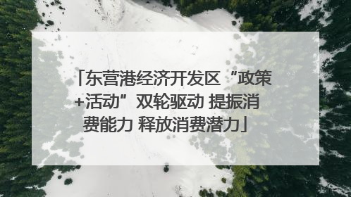东营港经济开发区“政策+活动”双轮驱动 提振消费能力 释放消费潜力
