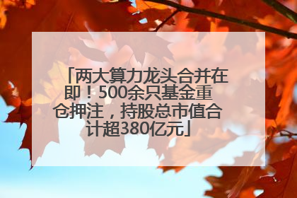 两大算力龙头合并在即！500余只基金重仓押注，持股总市值合计超380亿元