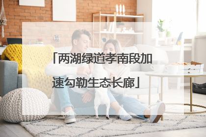 两湖绿道孝南段加速勾勒生态长廊