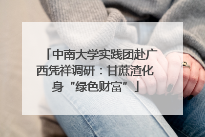 中南大学实践团赴广西凭祥调研：甘蔗渣化身“绿色财富”