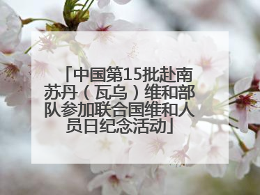 中国第15批赴南苏丹（瓦乌）维和部队参加联合国维和人员日纪念活动