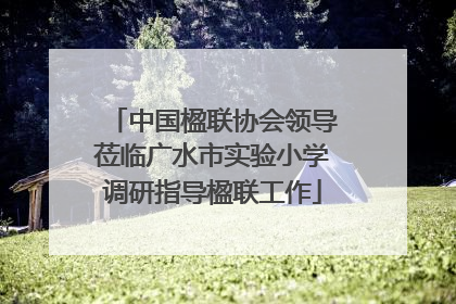 中国楹联协会领导莅临广水市实验小学调研指导楹联工作