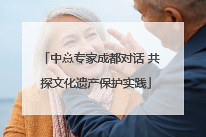 中意专家成都对话 共探文化遗产保护实践