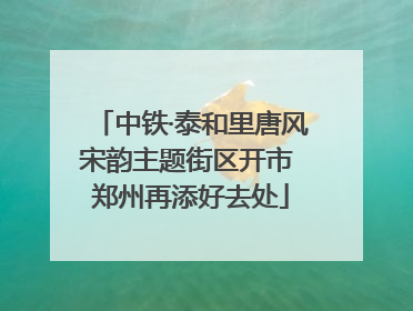 中铁·泰和里唐风宋韵主题街区开市 郑州再添好去处
