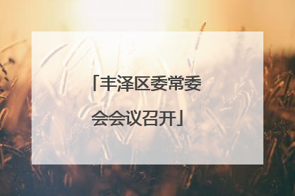 丰泽区委常委会会议召开
