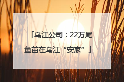 乌江公司：22万尾鱼苗在乌江“安家”