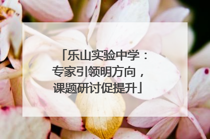 乐山实验中学：专家引领明方向，课题研讨促提升