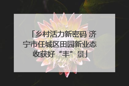 乡村活力新密码 济宁市任城区田园新业态收获好“丰”景