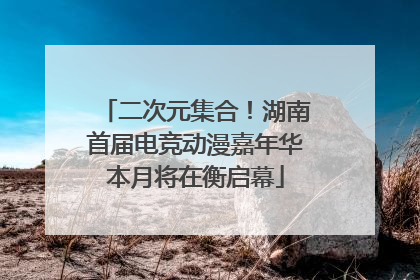 二次元集合！湖南首届电竞动漫嘉年华本月将在衡启幕