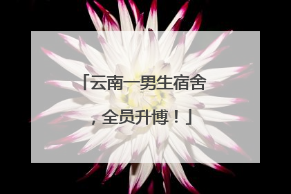 云南一男生宿舍，全员升博！