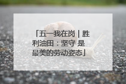五一我在岗｜胜利油田：坚守 是最美的劳动姿态