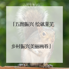 五图振兴 绘就莱芜乡村振兴美丽画卷