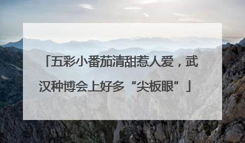 五彩小番茄清甜惹人爱，武汉种博会上好多“尖板眼”