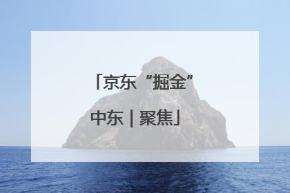 京东“掘金”中东｜聚焦