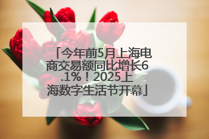 今年前5月上海电商交易额同比增长6.1%！2025上海数字生活节开幕