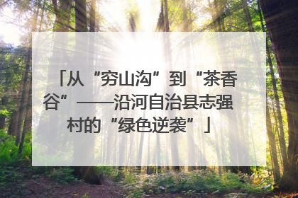 从“穷山沟”到“茶香谷”——沿河自治县志强村的“绿色逆袭”