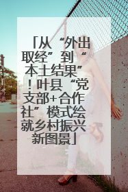 从“外出取经”到“本土结果”！叶县“党支部+合作社”模式绘就乡村振兴新图景