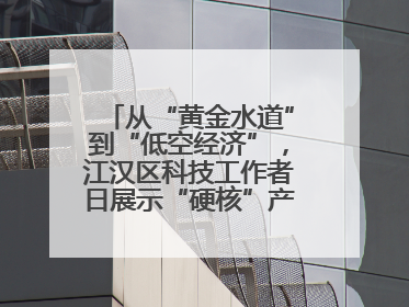 从“黄金水道”到“低空经济”，江汉区科技工作者日展示“硬核”产业答卷