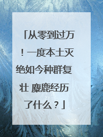 从零到过万！一度本土灭绝如今种群复壮 麋鹿经历了什么？