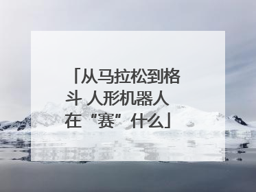 从马拉松到格斗 人形机器人在“赛”什么