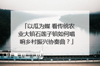 以瓜为媒 看传统农业大镇石莲子镇如何唱响乡村振兴协奏曲？