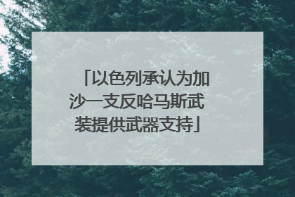 以色列承认为加沙一支反哈马斯武装提供武器支持
