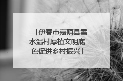 伊春市嘉荫县雪水温村厚植文明底色促进乡村振兴