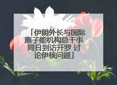 伊朗外长与国际原子能机构总干事同日到访开罗 讨论伊核问题