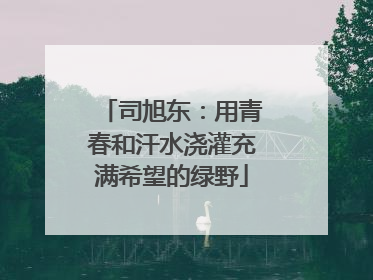 司旭东：用青春和汗水浇灌充满希望的绿野