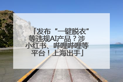 发布“一键脱衣”等违规AI产品？涉小红书、哔哩哔哩等平台！上海出手