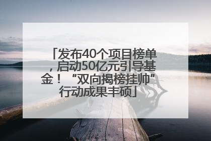 发布40个项目榜单，启动50亿元引导基金！“双向揭榜挂帅”行动成果丰硕