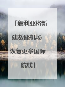 叙利亚将新建数座机场 恢复更多国际航线