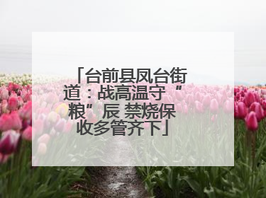 台前县凤台街道：战高温守“粮”辰 禁烧保收多管齐下