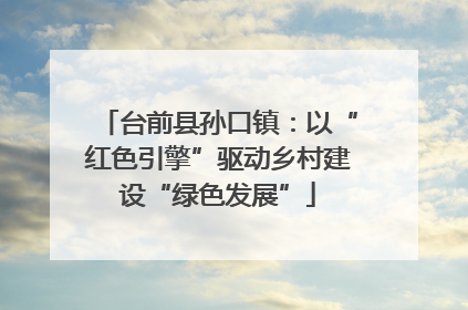 台前县孙口镇：以“红色引擎”驱动乡村建设“绿色发展”