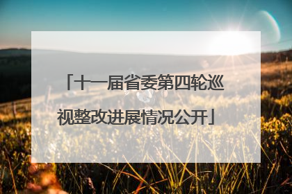 十一届省委第四轮巡视整改进展情况公开