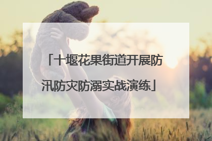 十堰花果街道开展防汛防灾防溺实战演练