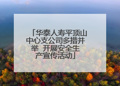 华泰人寿平顶山中心支公司多措并举  开展安全生产宣传活动