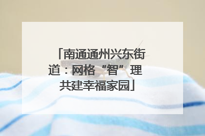 南通通州兴东街道：网格“智”理 共建幸福家园
