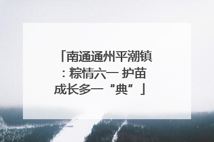 南通通州平潮镇：粽情六一 护苗成长多一“典”