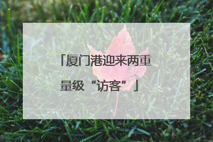 厦门港迎来两重量级“访客”