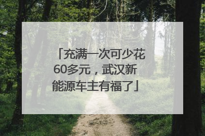 充满一次可少花60多元，武汉新能源车主有福了