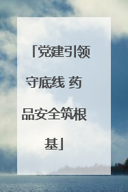 党建引领守底线 药品安全筑根基