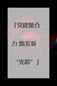 党建聚合力 焕发新“光彩”
