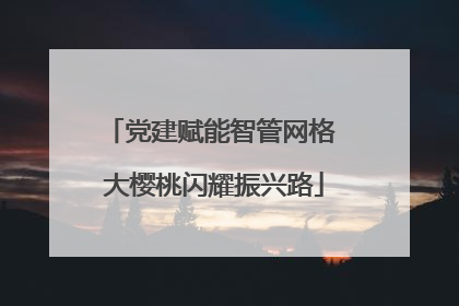 党建赋能智管网格 大樱桃闪耀振兴路