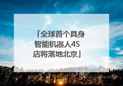 全球首个具身智能机器人4S店将落地北京